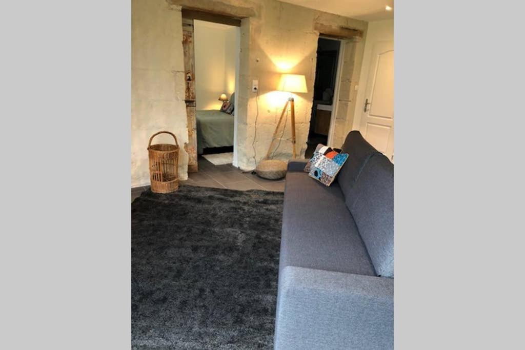 Vila Le Logis De La Tour Saint Jacques Chouzé-sur-Loire Exteriér fotografie