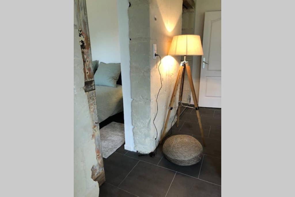Vila Le Logis De La Tour Saint Jacques Chouzé-sur-Loire Exteriér fotografie